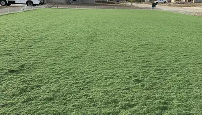 Fresh hydroseed application on prepared soil in Bloomington, IN by professional landscaping experts